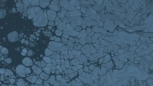 Strategic ecosystem integration