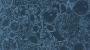 Brand plan for immunology biologic therapy