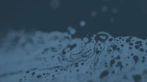 Strategic ecosystem integration