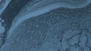 Global immunology portfolio strategy