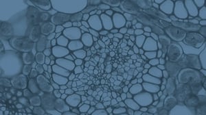 hsCRP testing landscape