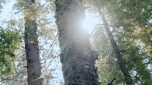 service-ceo-and-board-featured-16x9-1920x1080-3